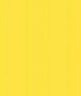 Roman W52244 Rhapsody Giallo 25 x 50