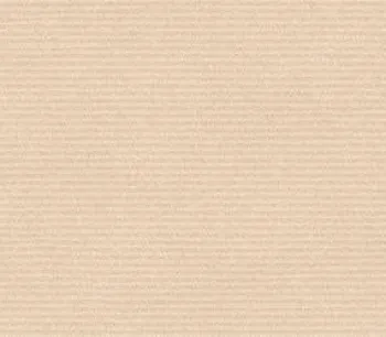 Roman W63621R dDevon Cream 30 x 60<br> 1