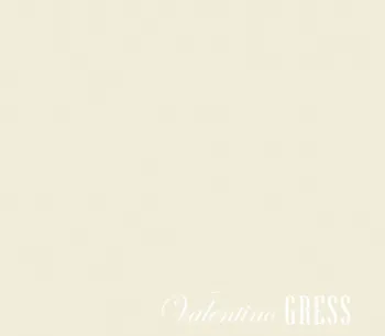 VALENTINO GRESS DOUBLE GREY 60 x 60<br> 1