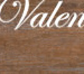 VALENTINO GRESS NEW OAK COFFEE 15 x 60 1