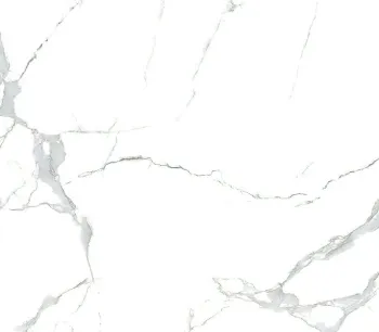 VALENTINO GRESS STATUARIO WHITE 60 X 60<br> 1