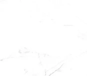 VALENTINO GRESS CAMELIA WHITE MATT 60 X 120<br> 1