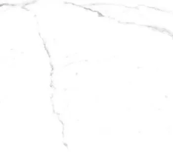 VALENTINO GRESS CAMELIA WHITE MATT 60 X 120<br> 2