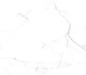 VALENTINO GRESS CAMELIA WHITE POLISHED 60 X 120<br> 1