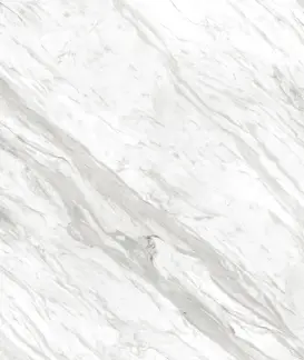 Roman GT1009454FR  dVasa Carrara 100x100